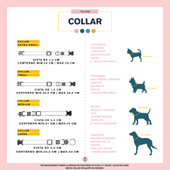 COLLAR TOKYO LILAC - be-dog.com