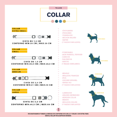 COLLAR TOKYO ORANGE - be-dog.com