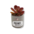 MINI VASO HOME COM PLANTA ARTIFICIAL - SORTIDAS - comprar online