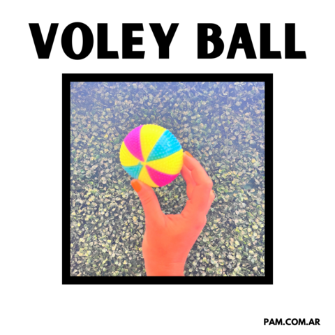 Voley Ball