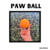 Paw Led BALL