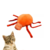 Juguete Peluche Araña Spider Para Mascotas Gatos - comprar online