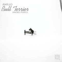 Anillo Bull Terrier