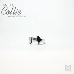 Anillo Collie