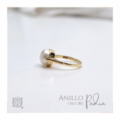 Anillo Padia - comprar online