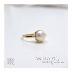 Anillo Padia en internet