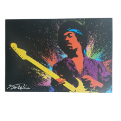 Poster Jimi Hendrix Ilustrado Laminas Musica