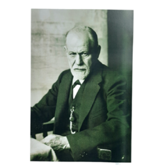 Poster Sigmund Freud Modelo 6 Psicologia Psicoanalisis Lamina