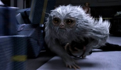 Póster Animales Fantasticos Demiguise