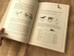 Inventario ilustrado de animales - comprar online