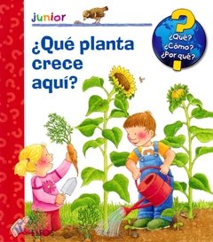 ¿Que planta crece aqui?