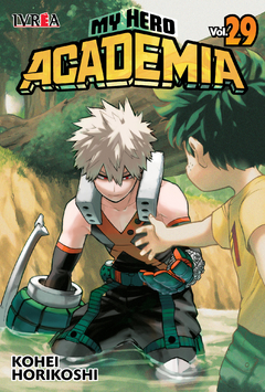 MY HERO ACADEMIA 29