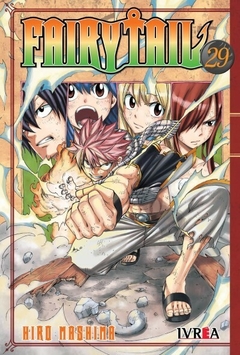 Fairy Tail 29