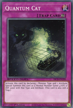 Quantum Cat - SBCB-EN200 - Common