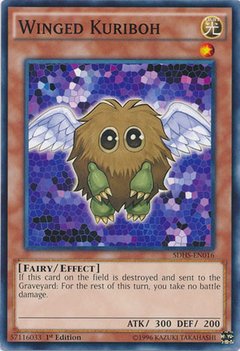 Winged Kuriboh - SDHS-EN016 - Common