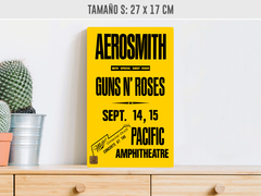 Aerosmith - Guns n´Roses en internet