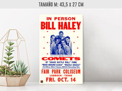 Bill Halley and his comets - Renovo Colgables