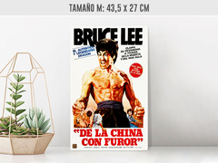 Bruce Lee - Renovo Colgables