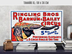 Circus Elefante - tienda online