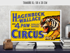 Circus Tigre - tienda online