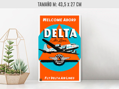 Delta Airlines - Renovo Colgables
