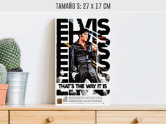 Elvis en internet