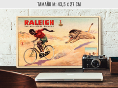 Raleigh - Renovo Colgables