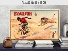 Raleigh - tienda online