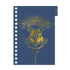 Agenda Mooving Harry Potter 2024 N8 Día X Hoja 14x20 Cm - comprar online