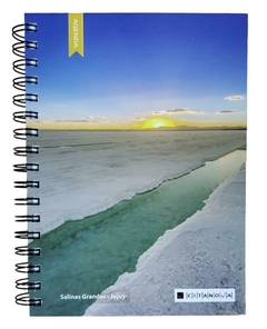 Agenda Citanova Centenario 2024 Diaria Espiral Argentina 16x23 - comprar online