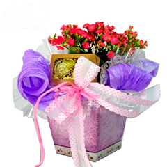 CESTA DE FLORES E CHOCOLATE AFETO AF 27 - comprar online