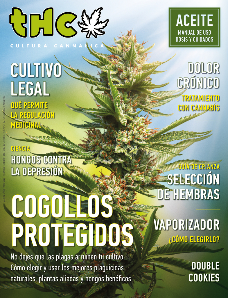 Concentrados de marihuana – DrugFacts