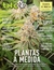 THC 147 - Plantas A Medida