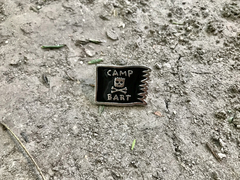Pin Camp Bart