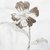 Cortina de Ba¤o Modelo Azalea Flower Marr¢n - Decorinter