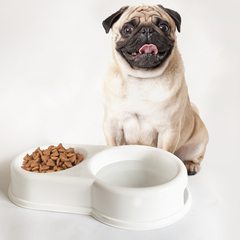 Plato doble de alimento para mascotas - comprar online