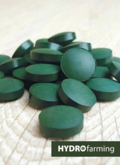 Spirulina sin TAAC BOGADO - 60 comp. - comprar online