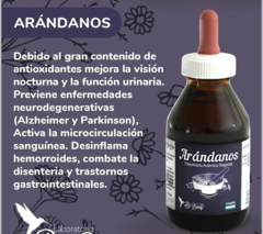 Fitoextracto de Arándanos BENEY - 100 ml - comprar online