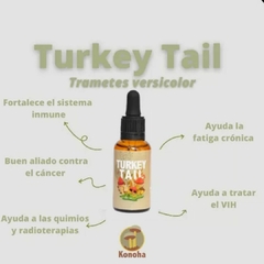 Extracto de Cola de Pavo (Turkey Tale) KONOHA - 30 ml - comprar online