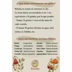 Extracto de Cola de Pavo (Turkey Tale) KONOHA - 30 ml - Kumara Almacén Natural