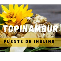 Topinambur en Polvo (TopiPram) - 75 gr en internet