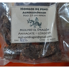 Hongos de Pino (agroecológicos) MOLINO EL DRAGÓN - 25 gr - comprar online