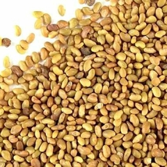 Alfalfa, para germinar - APANA - 100 gr