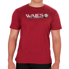 Remera Wales Live the Ages of Dragons