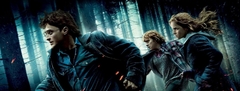 Banner da categoria Harry Potter