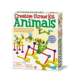 Creative Straw kit