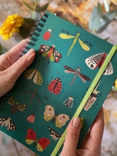 cuaderno mediano mariposa