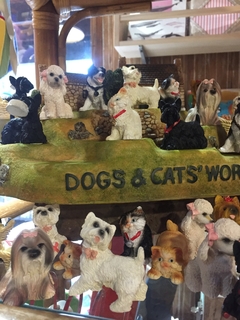 gatos y perros de porcelana