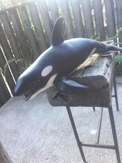 delfín marino grande - comprar online