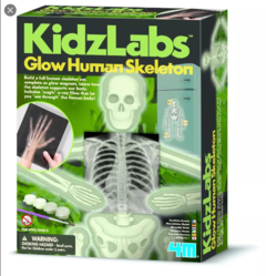 kidzlab Glow esqueleto humano